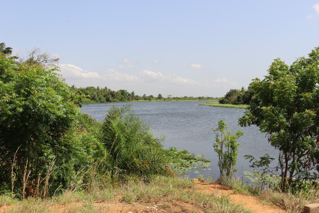 Water Quality Specialist